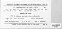 Melampsora lini image
